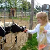 Sam Mazza's Farm Market photo