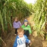 Sam Mazza's Farm Market photo