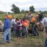 Sam Mazza's Farm Market photo