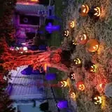 Skeleton house photo