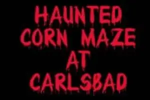 Haunted Corn Maze - Carlsbad Strawberry Company 