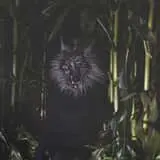 Haunted Corn Maze - Carlsbad Strawberry Company  photo