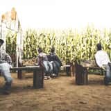 Haunted Corn Maze - Carlsbad Strawberry Company