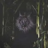 Haunted Corn Maze - Carlsbad Strawberry Company
