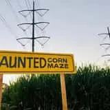 Haunted Corn Maze - Carlsbad Strawberry Company  photo
