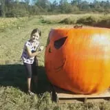 Two Brothers Pumpkins photo