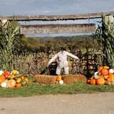 Two Brothers Pumpkins photo