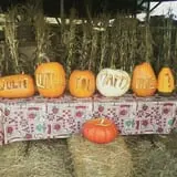 Two Brothers Pumpkins photo