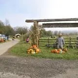 Two Brothers Pumpkins photo