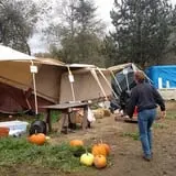 Two Brothers Pumpkins photo