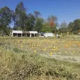 Two Brothers Pumpkins photo