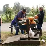 Two Brothers Pumpkins photo