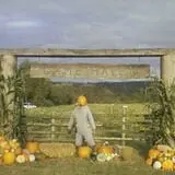 Two Brothers Pumpkins photo