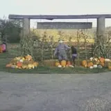 Two Brothers Pumpkins photo