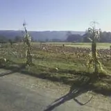 Two Brothers Pumpkins photo