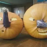 Two Brothers Pumpkins photo