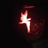 Two Brothers Pumpkins photo