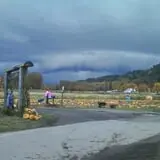 Two Brothers Pumpkins photo