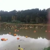 Two Brothers Pumpkins photo