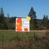 Two Brothers Pumpkins photo