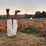 Two Brothers Pumpkins photo