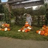 Two Brothers Pumpkins photo