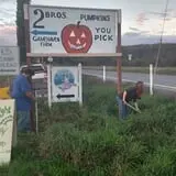Two Brothers Pumpkins photo