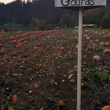 Two Brothers Pumpkins photo