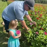 Middle Springs Farm  photo