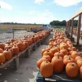 Britt's Garden Acres Scary Maze photo