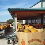 Britt's Garden Acres Scary Maze photo