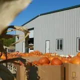 Britt's Garden Acres Scary Maze photo