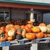 Britt's Garden Acres Scary Maze photo