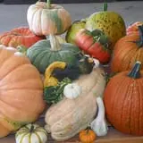 Britt's Garden Acres Scary Maze photo