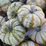 Britt's Garden Acres Scary Maze photo