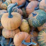 Britt's Garden Acres Scary Maze photo