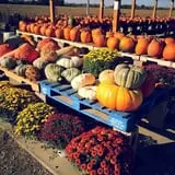 Britt's Garden Acres Scary Maze photo