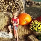 Britt's Garden Acres Scary Maze photo