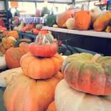 Britt's Garden Acres Scary Maze photo