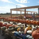 Britt's Garden Acres Scary Maze photo