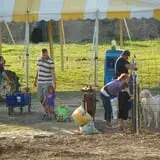 Britt's Garden Acres Scary Maze photo