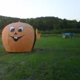 Britt's Garden Acres Scary Maze photo