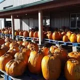 Britt's Garden Acres Scary Maze photo