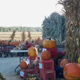 Britt's Garden Acres Scary Maze photo