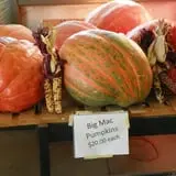 Britt's Garden Acres Scary Maze photo
