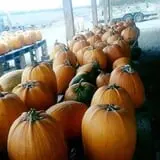 Britt's Garden Acres Scary Maze photo