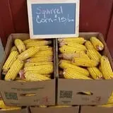 Britt's Garden Acres Scary Maze photo