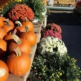 Britt's Garden Acres Scary Maze photo