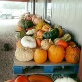Britt's Garden Acres Scary Maze photo