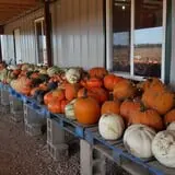 Britt's Garden Acres Scary Maze photo